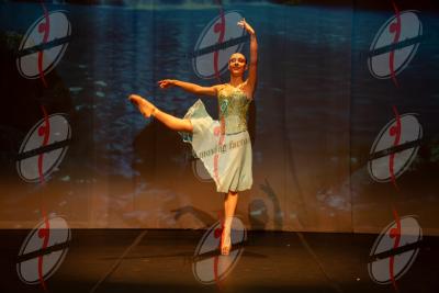SHOW_02016.jpg